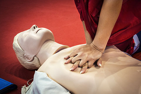 Person's hands pushing on dummy's chest during CPR training