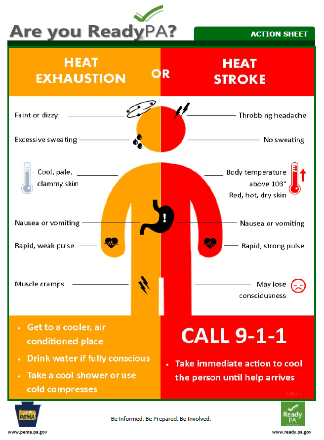 Heat Exhaustion and Heat Stroke Awareness Action Sheet